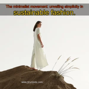 Artistic representation for The minimalist movement: unveiling simplicity in sustainable fashion.